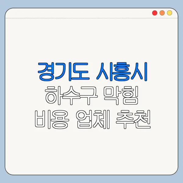 경기도 시흥시 하수구 막힘 비용 업체 추천