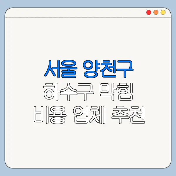 서울 양천구 하수구 막힘 비용 업체 추천