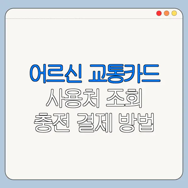 어르신 교통카드 사용처 조회 충전 결제 방법 총정리