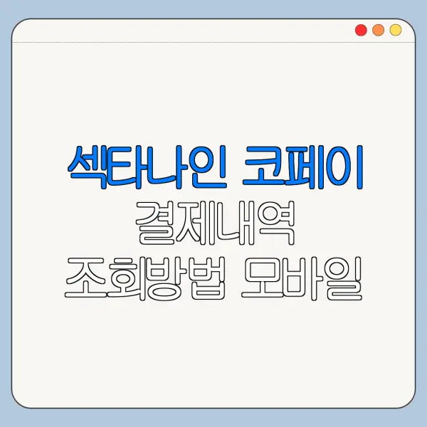 섹타나인 코페이 결제내역 조회방법 모바일 확인 방법 오류 해결 총정리