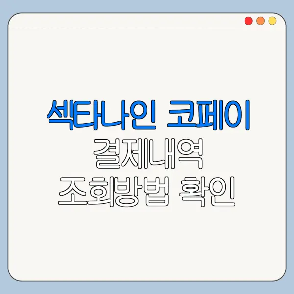 섹타나인 코페이 결제내역 조회방법 확인 안 될 때 해결 방법 정리