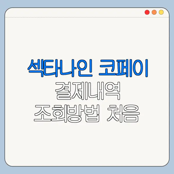 섹타나인 코페이 결제내역 조회방법 처음 이용하는 사람을 위한 쉬운 안내