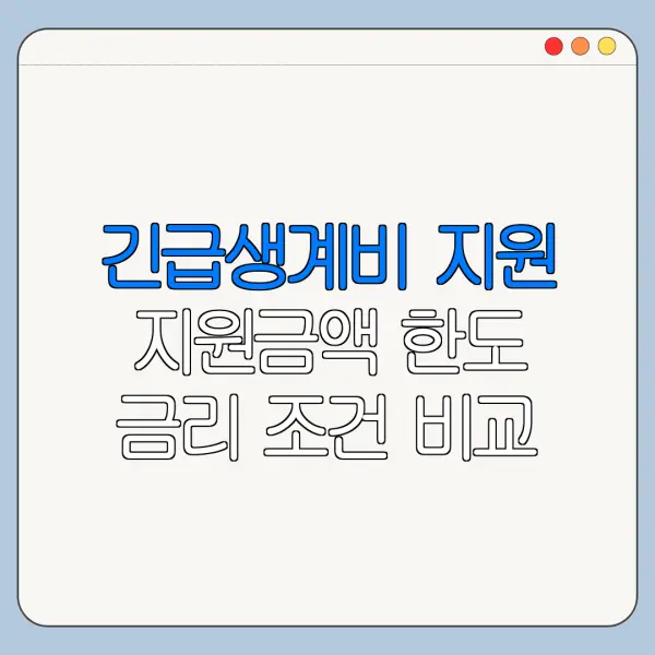 긴급생계비 지원 지원금액 한도 금리 조건 비교
